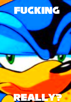 09a-Really-Annoyed-Sonic.png