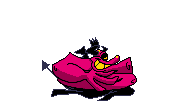 1000013592.gif