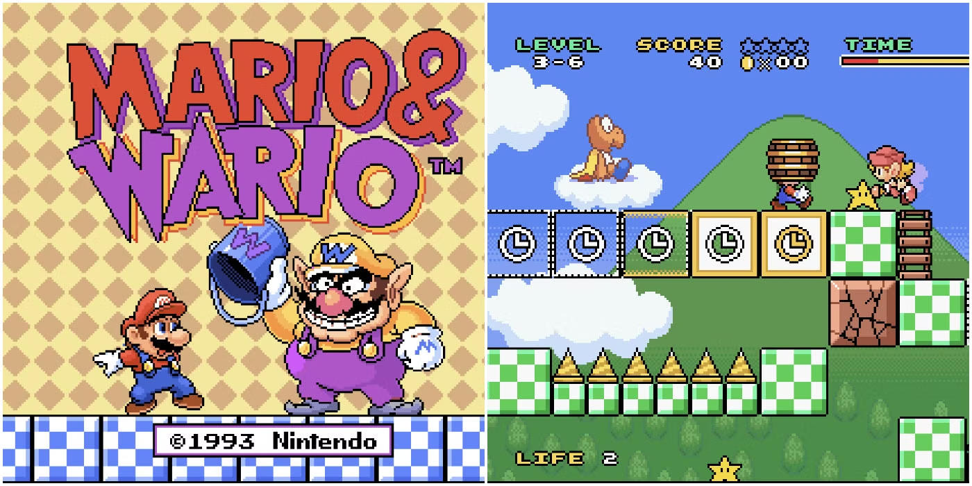 5-Mario-and-Wario.png