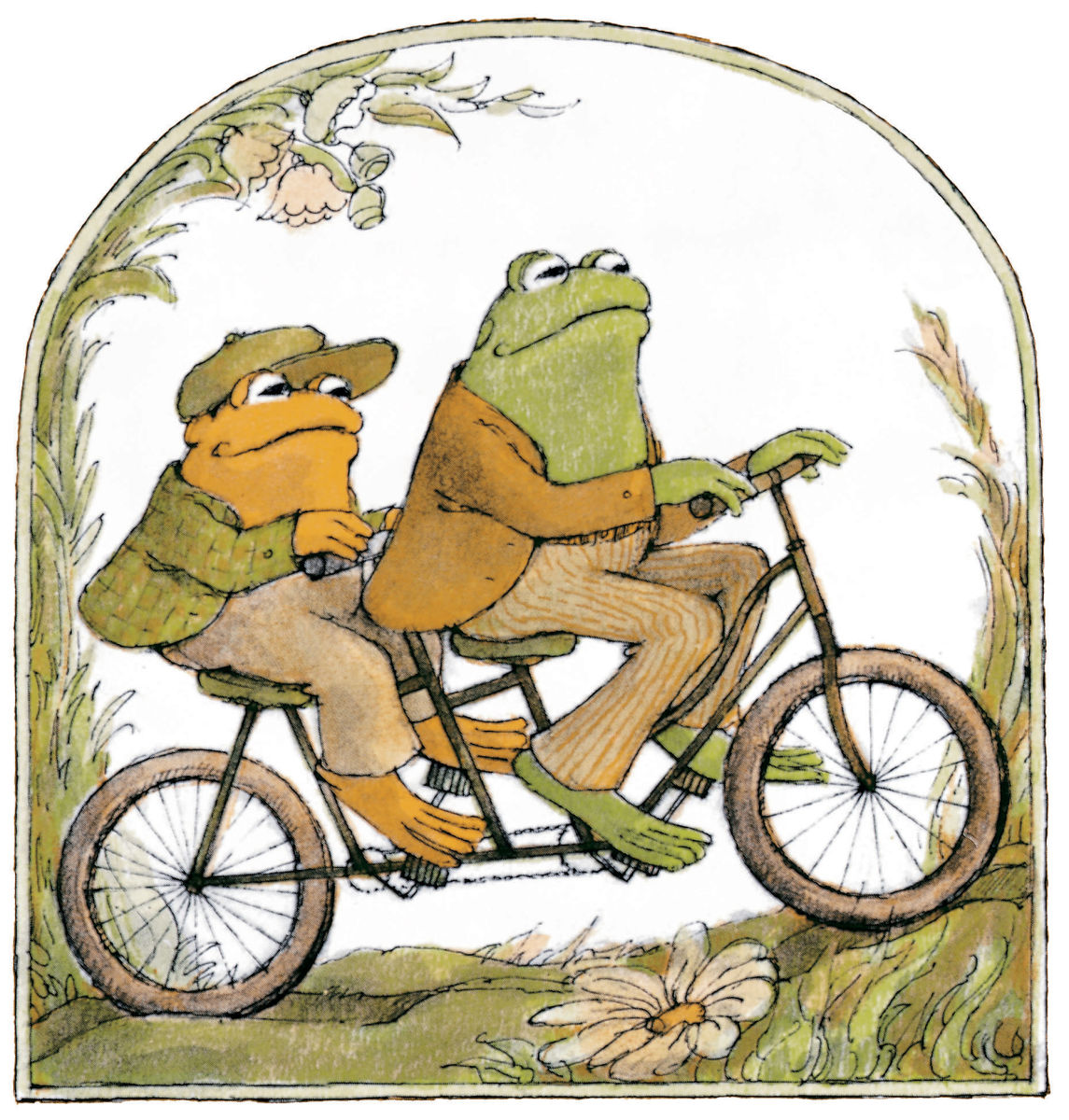 FrogandToad1-1145.jpg