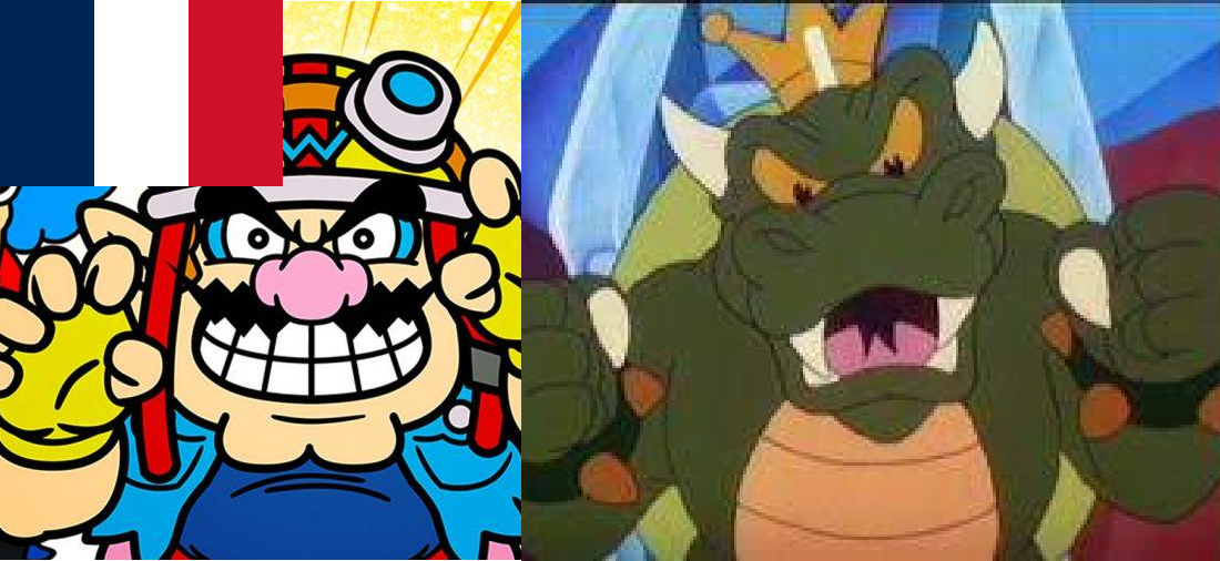 FS-Wario-Bowser.png