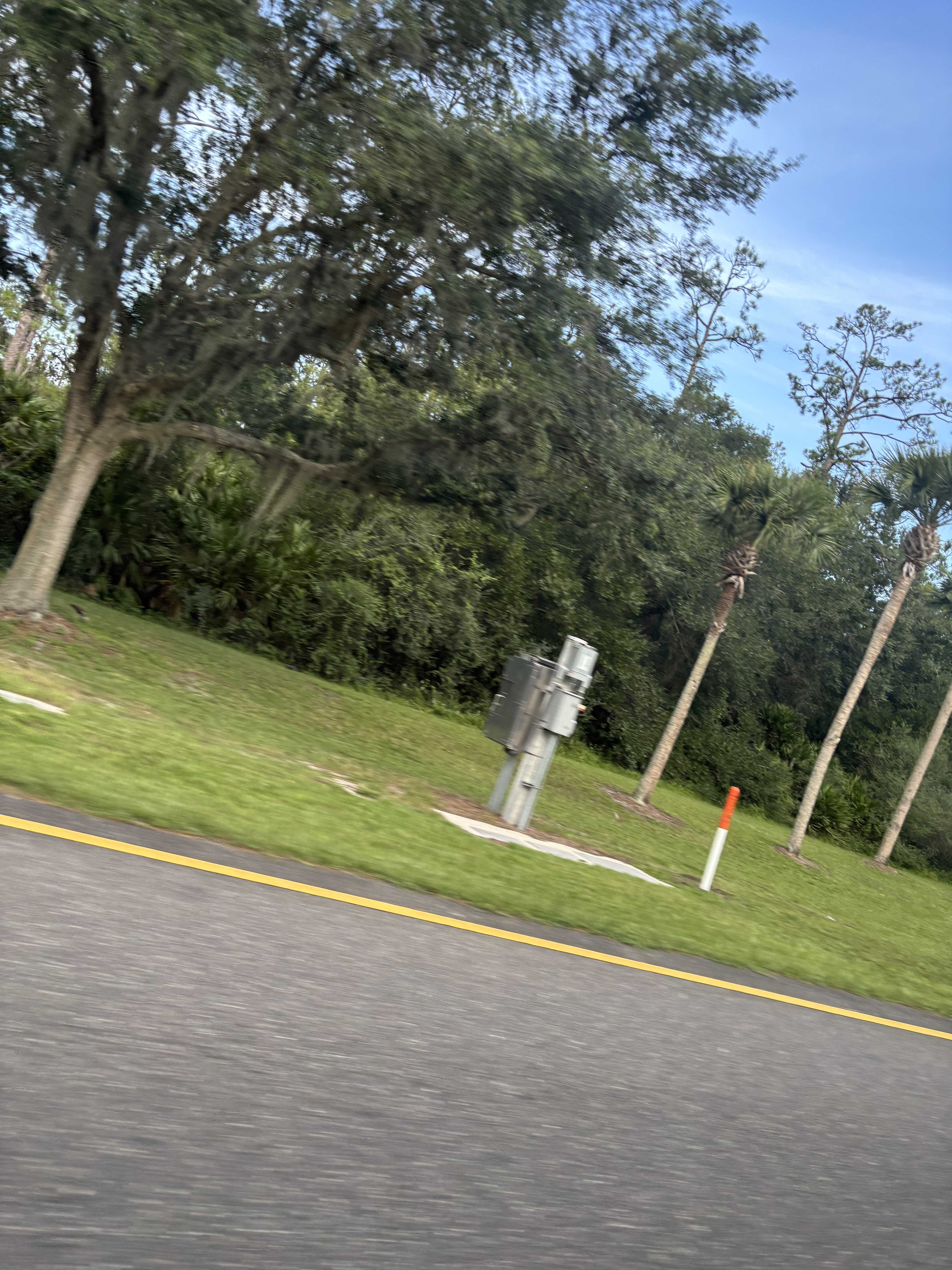 IMG_0290.jpeg