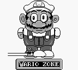 Wario Zone 2.png