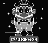 Wario Zone 3.png