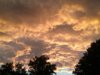 20190609_200036.jpg