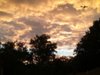 20190609_195958.jpg