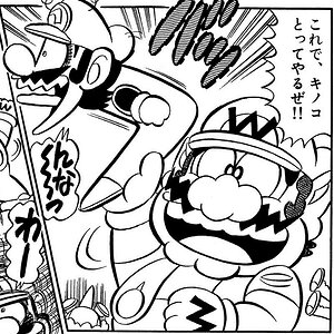 Wario Transformations Can Be Applied To Others VIA Wario