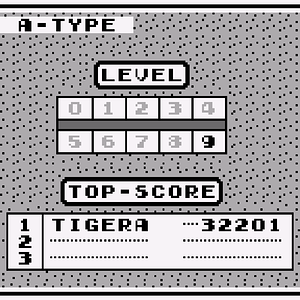 Tetris (W) (V1.0) [!]-211108-080428.png