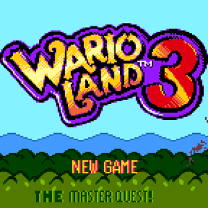 Warioland 3 The Master Quest! (Temp)-240809-011756.png