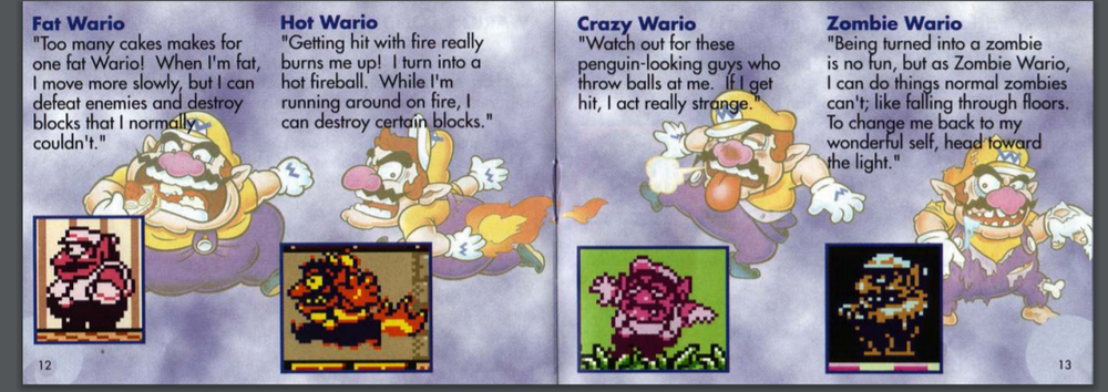 Wario Land 2 Transformations